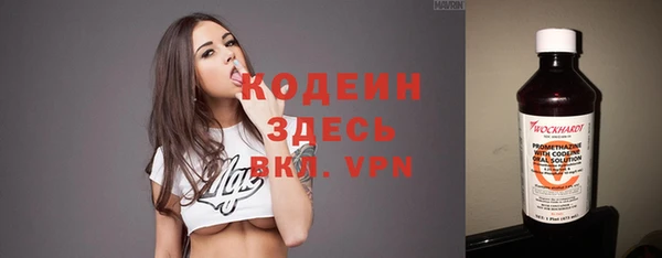 эйфоретик Арсеньев