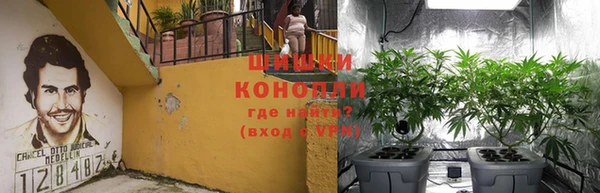 эйфоретик Арсеньев